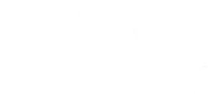 Webqaulity logo footer